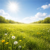 Sunshine