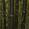 Black Bamboo